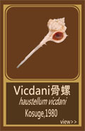 Vicdani骨螺