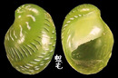 翡翠蜑螺 Smaragdia rangiana 1