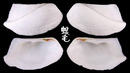 稜船蛤 Trapezium bicarinatum 4